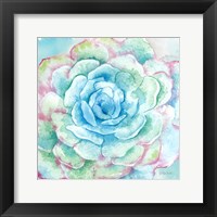 Sweet Succulents I Framed Print