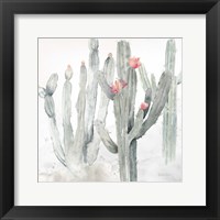 Framed Cactus Garden Gray Blush II