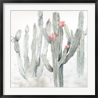 Framed Cactus Garden Gray Blush II