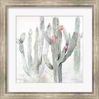Framed Cactus Garden Gray Blush II