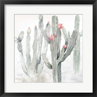 Cactus Garden Gray Blush II Framed Print