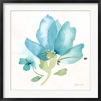 Framed Blue Poppy Field Single II