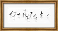 Framed Flock of Canada Geese
