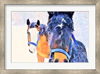 Framed Snow Horses