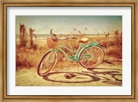 Framed Sanibel Bike