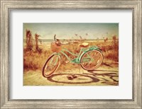 Framed Sanibel Bike