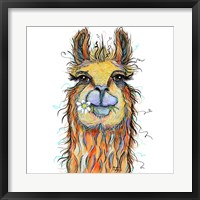 Framed Llama with Daisy