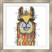 Framed Llama with Daisy