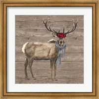 Framed Warm in the Wilderness Deer