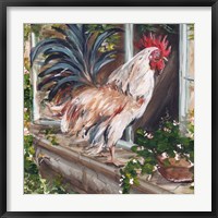 Framed French Country Rooster