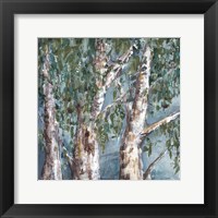 Framed Eucalyptus Trees