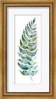 Framed Botanical Fern Single III