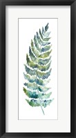 Botanical Fern Single III Framed Print