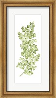 Framed Botanical Fern Single IV
