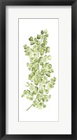 Framed Botanical Fern Single IV