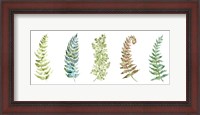 Framed Botanical Ferns Panel