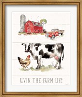Framed Country Life III