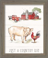 Framed 'Country Life II' border=