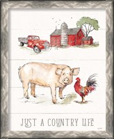 Framed 'Country Life II' border=