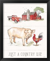 Framed 'Country Life II' border=