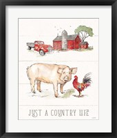 Country Life II Framed Print