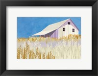 Framed Wheat Fields