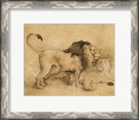 Framed 'Global Lions Light Crop' border=