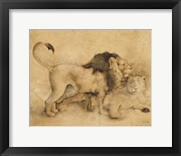 Global Lions Light Crop Framed Print