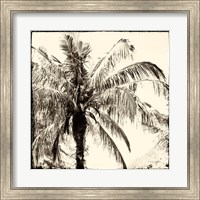 Framed Palm Tree Sepia III