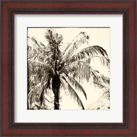 Framed Palm Tree Sepia III