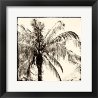 Palm Tree Sepia III Framed Print