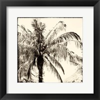 Framed 'Palm Tree Sepia III' border=