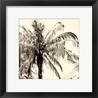 Framed 'Palm Tree Sepia III' border=