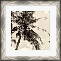 Framed Palm Tree Sepia II