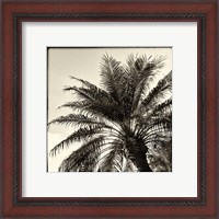 Framed 'Palm Tree Sepia I' border=