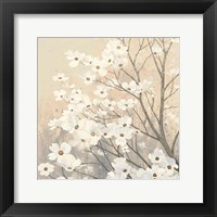 Framed Dogwood Blossoms II Neutral