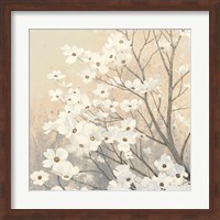 Framed Dogwood Blossoms II Neutral