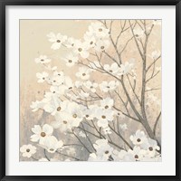 Framed Dogwood Blossoms II Neutral