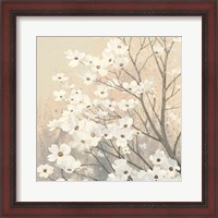 Framed Dogwood Blossoms II Neutral