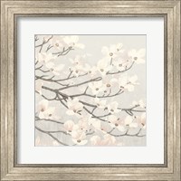 Framed Dogwood Blossoms II Gray