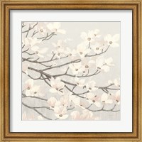 Framed Dogwood Blossoms II Gray