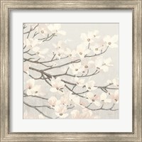 Framed Dogwood Blossoms II Gray