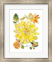 Framed Dahlia Delight of the Day III