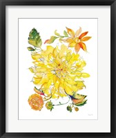 Framed Dahlia Delight of the Day III