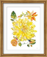 Framed Dahlia Delight of the Day III