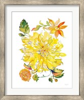 Framed Dahlia Delight of the Day III