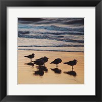 Kalaloch Birds II Framed Print