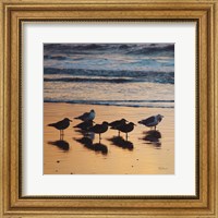 Framed Kalaloch Birds I