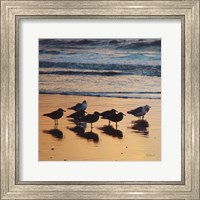 Framed Kalaloch Birds I