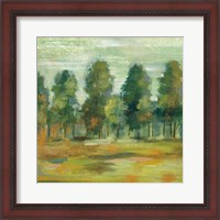 Framed Forest II